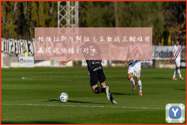 帕梅拉斯与阿拉戈亚激战正酣谁将赢得这场精彩对决