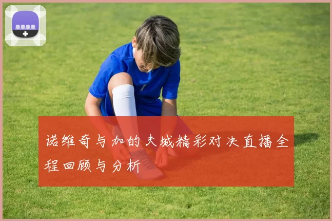 诺维奇与加的夫城精彩对决直播全程回顾与分析